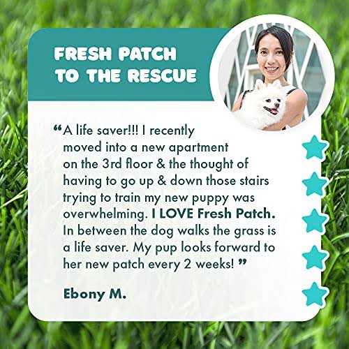 Large Real Grass Pee and Potty Training Pad for Dogs S104632