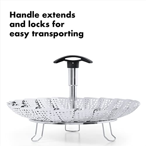 Stainless Steel Steamer With Extendable Handle W741013