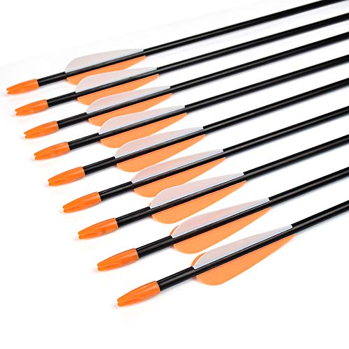 Fiberglass Arrows 30 Inch Target Shooting Safetyglass Recurve Bows A539