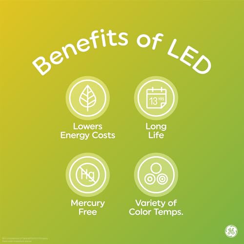 100 Watt Soft White A19 LED Light Bulbs (2 Pack) K456