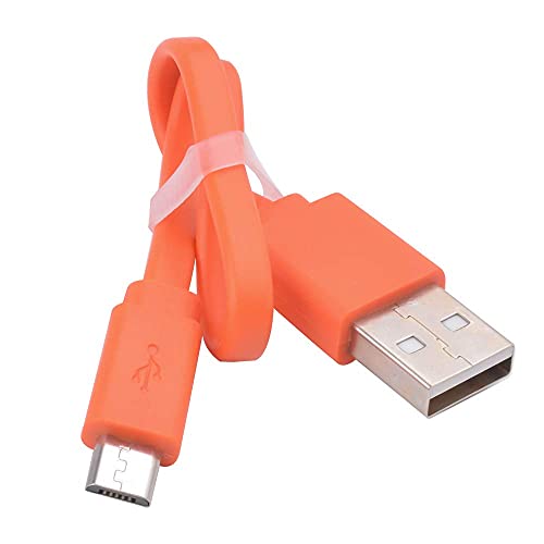 Flat USB Type C Charging Cable B928