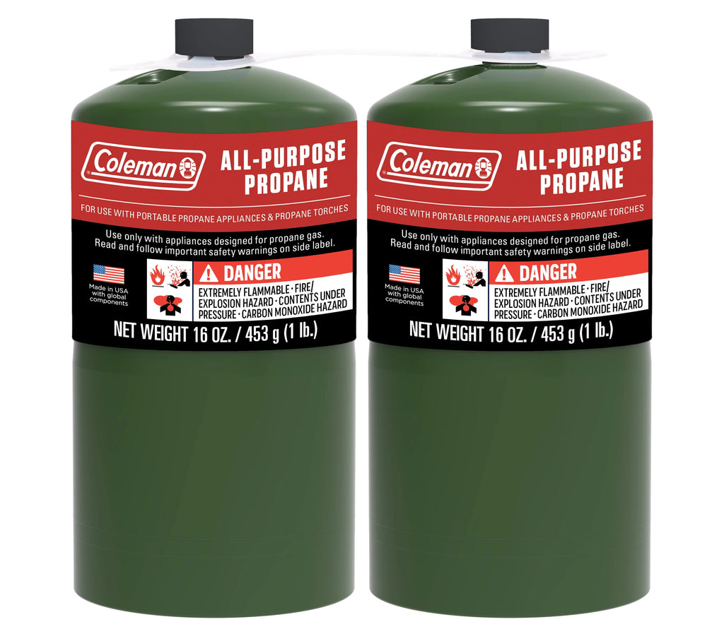 16 ounce 2-Pack Propane Gas Cylinder A110