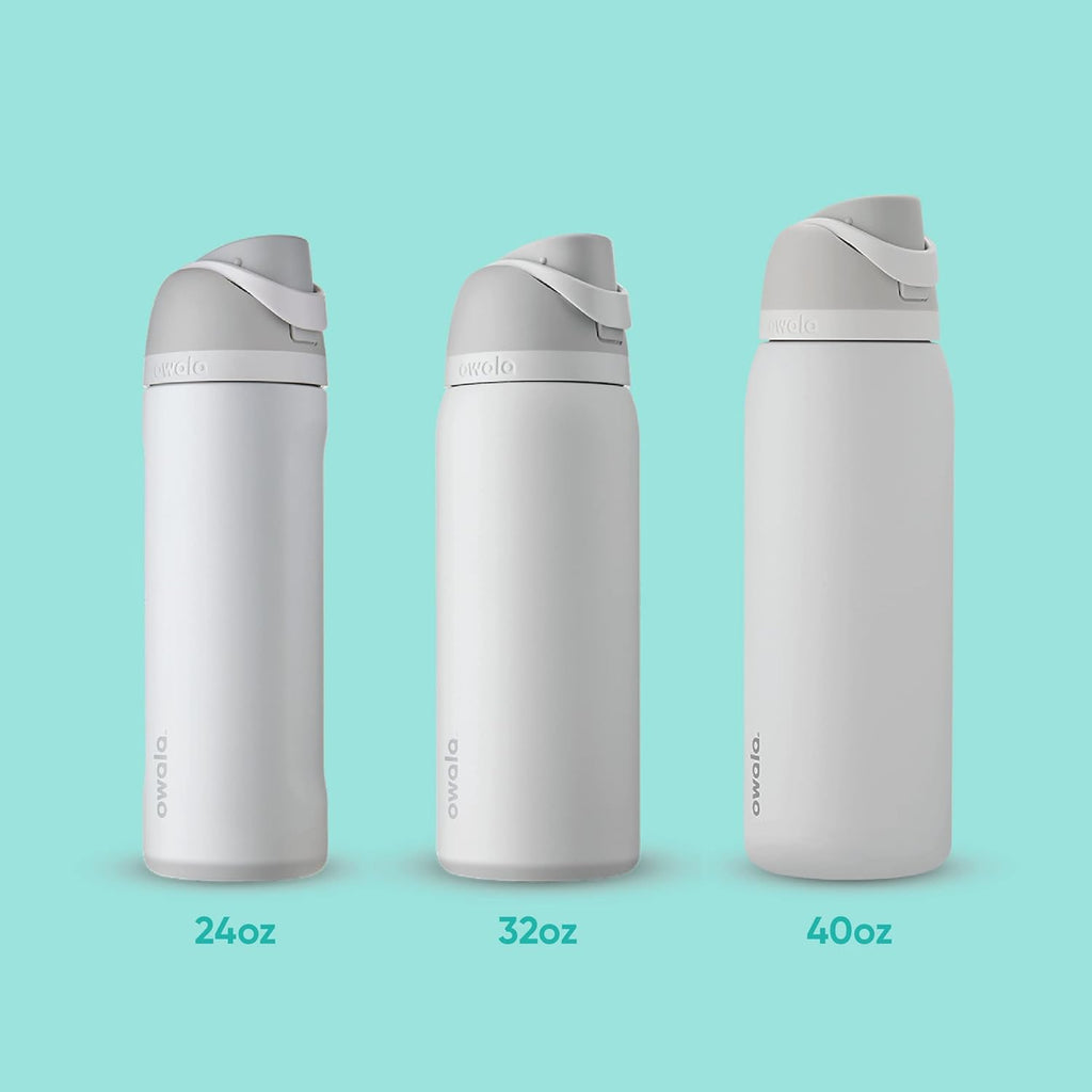 24-Ounce Insulated Stainless Steel Water Bottle P438277