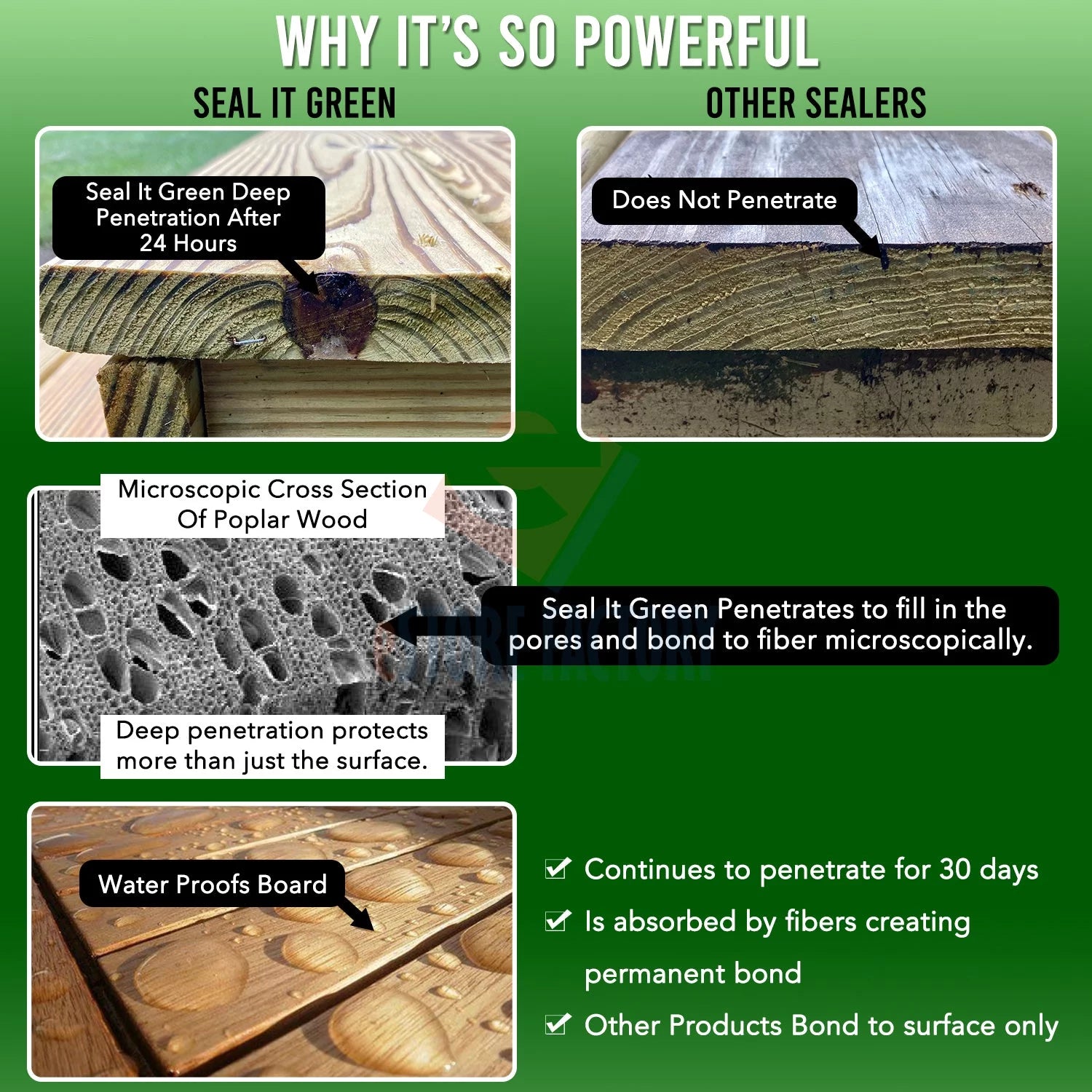 1 Gallon Plant Based Non-Toxic Wood Sealer A9516