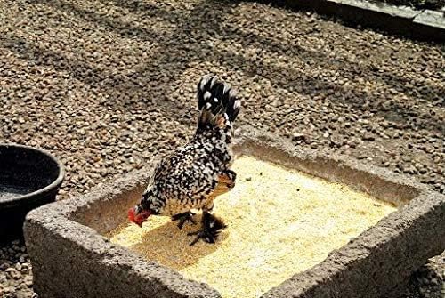 Cracked Corn Feed 5 Pound Z11227