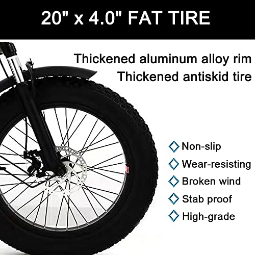 7 Speed 20 inch Fat Tire 3 Wheel Adult Tricycle S54455