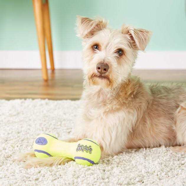 Squeaker Dumbbell L527