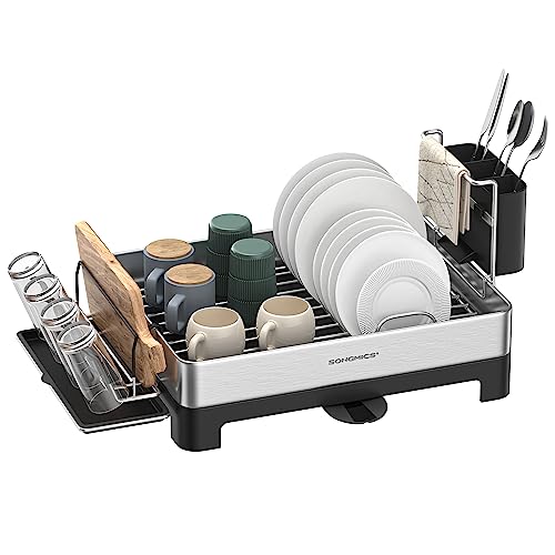 Large Stainless Steel Dish Drying Rack with Rotatable Spout, 12.5 x 22.5 in, Silver and Gray M671