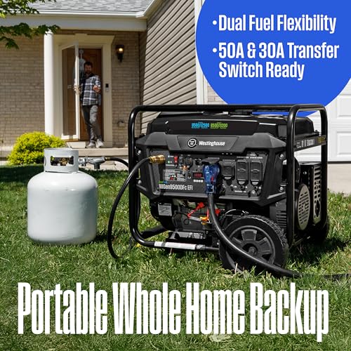 12500 Peak Watt Dual Fuel Portable Generator D8566