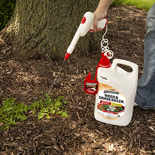 Weed & Grass Killer Refill, 1.3 Gallon O715