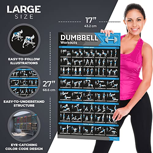 12-PACK Laminated Large Workout Poster Set with Exercise Charts C312967