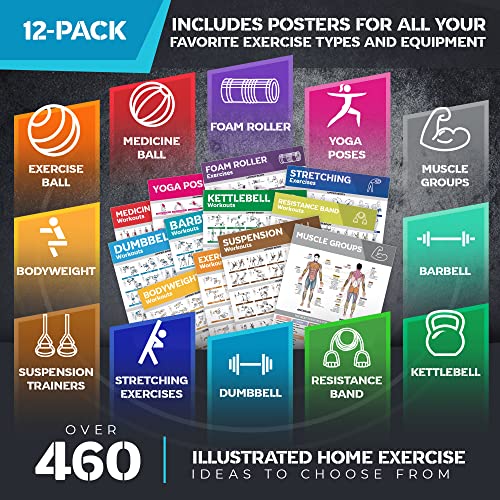 12-PACK Laminated Large Workout Poster Set with Exercise Charts C312967