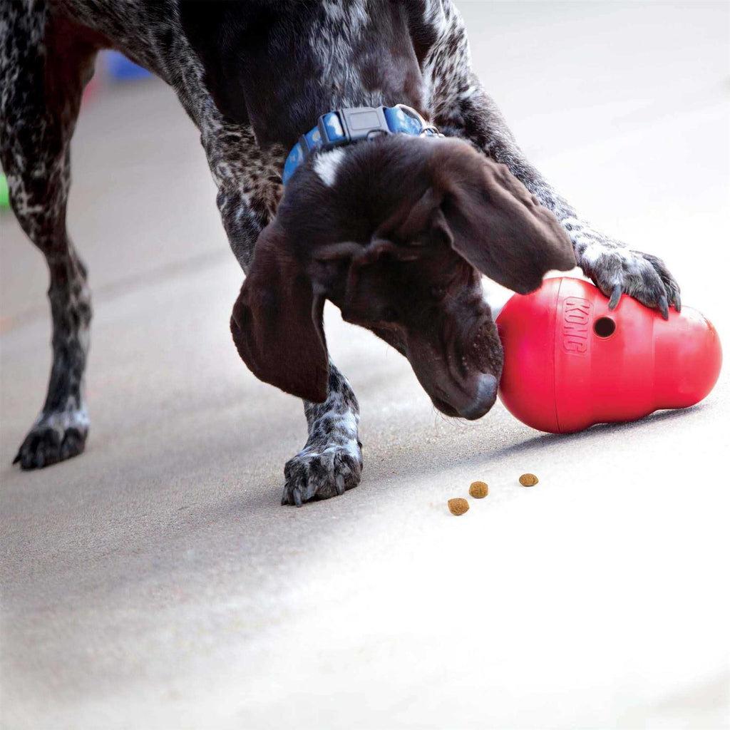 KONG Wobbler Dog Toy W109716