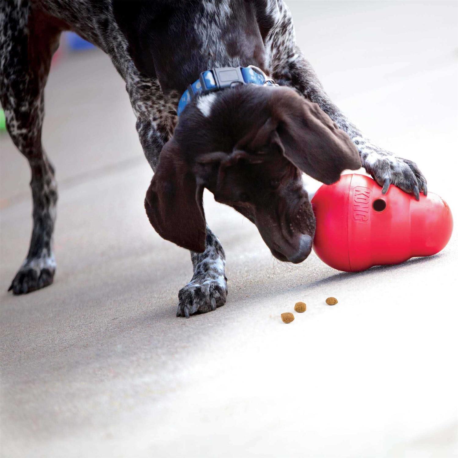KONG Wobbler Dog Toy W109716