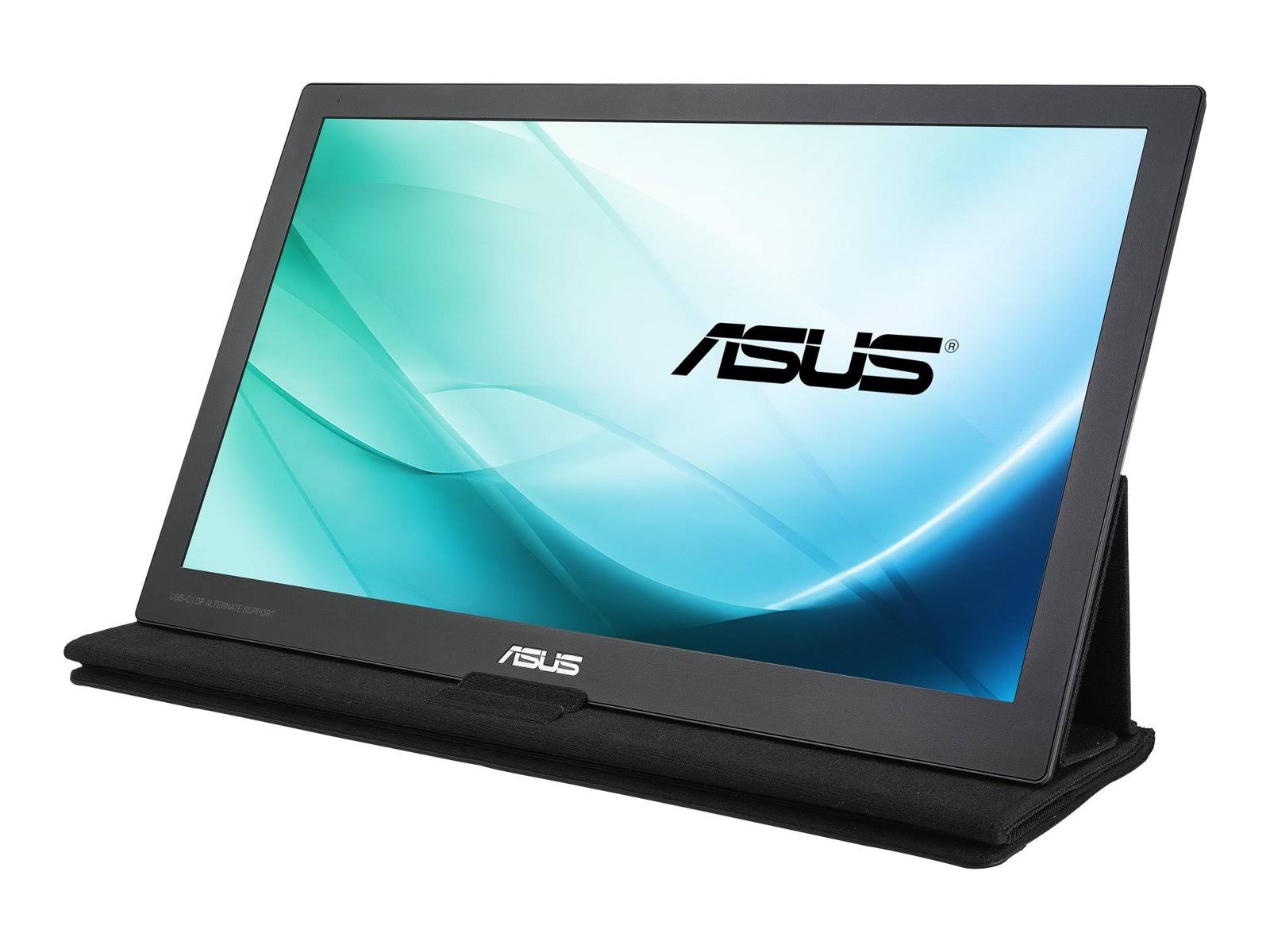 15.6x22 16:9 Portable IPS USB-Powered Monitor B151162