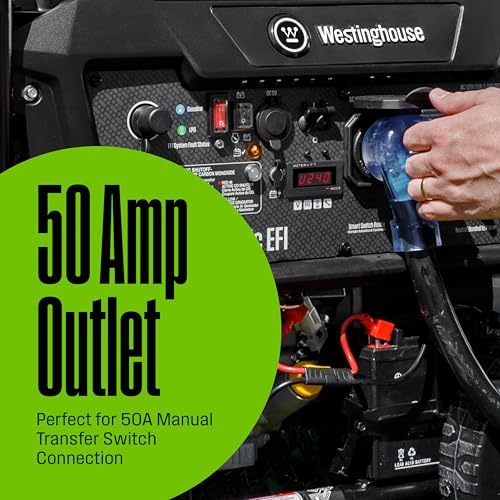 12500 Peak Watt Dual Fuel Portable Generator D8566