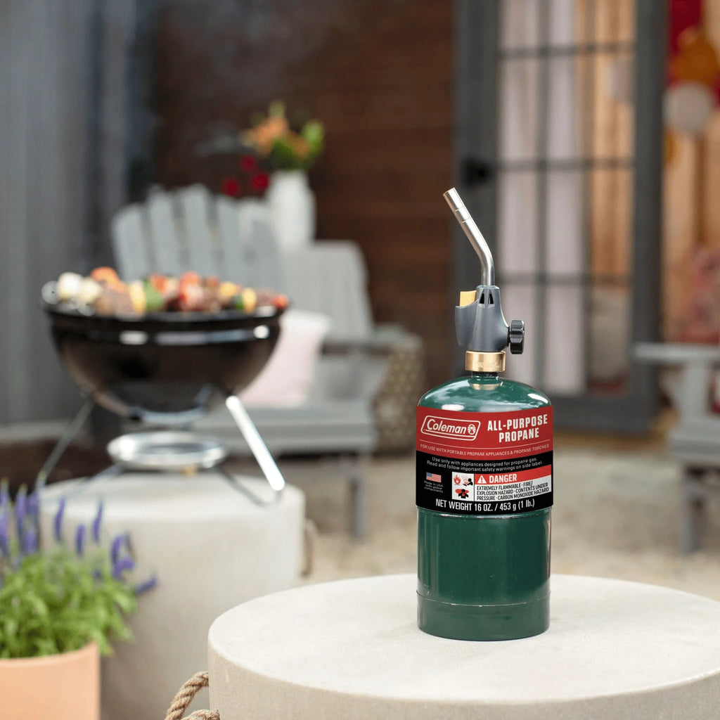 16 ounce 2-Pack Propane Gas Cylinder A110