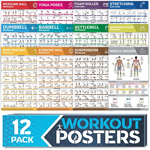 12-PACK Laminated Large Workout Poster Set with Exercise Charts C312967