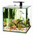 Frameless Cube Aquarium Q98722