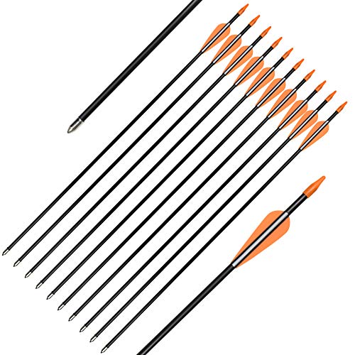 Fiberglass Arrows 30 Inch Target Shooting Safetyglass Recurve Bows A539