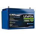 12V 100Ah Lithium LiFePO4 Deep Cycle Rechargeable Battery M661215