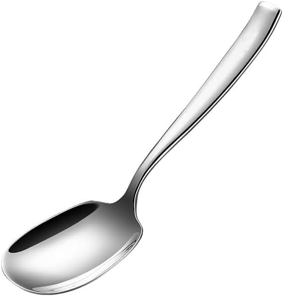 9.5 Inch 316L Stainless Steel Serving Spoon Q17892