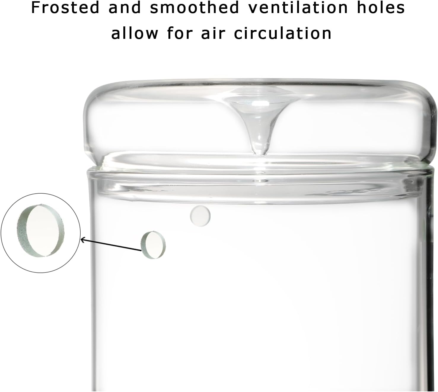 Glass Plant Terrarium – 4.7 x 7 in Small Glass Planter with Lid R5253