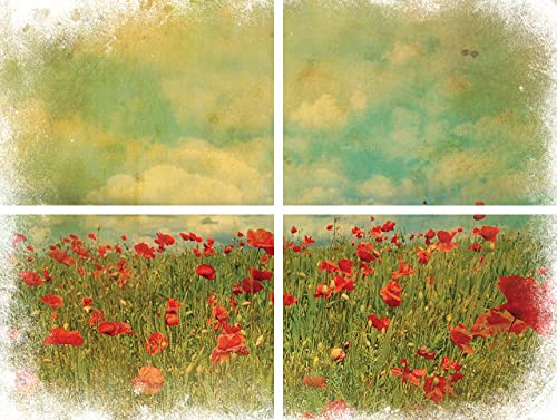 Cotton and Eucalyptus 24.8” x 38.8” Sheet Rub On Decorative Transfer U658609